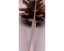 Diderot par Bastien Toubhans Manche serti Fibre de Carbone
