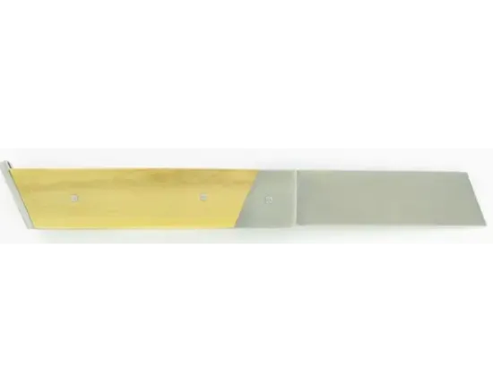 Dorry Buis