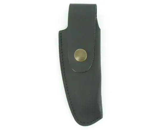 Etui Cuir St Léonard Théo 2 NOIR