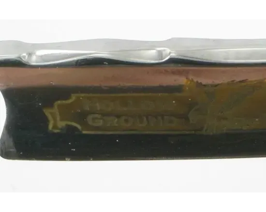 Historique Nez Crochu Aigle Citronier 6/8