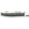 Laguiole Buffle Brut - 2 mitres