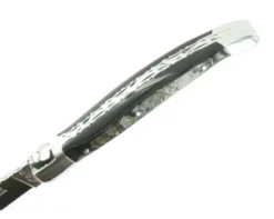 Laguiole Buffle Brut - 2 mitres