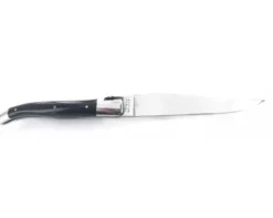 Laguiole 12 cm Franc-Maçon - Buffle Poli - 2 mitres