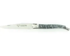 Laguiole 12 cm - Molaire Bleue de Mammouth - 2 mitres