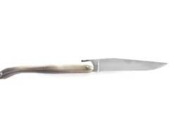Laguiole Collection 12 cm - Plein Manche - Pointe de Corne