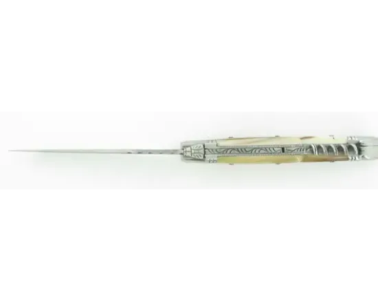 Laguiole Corne Carbone