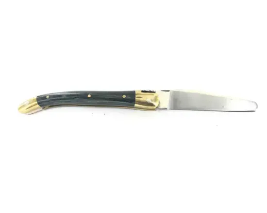 Laguiole ENFANT 9 cm - 2 mitres - Stamina Bleu