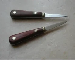 1 Lancette Huîtres
