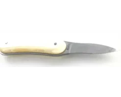 1 Lancette LE BEC manche en coquille d'Huîtres - couleur : Blanc