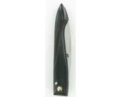 Le Capucin Corne Noire