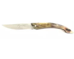Le Monnerie - Plein Manche Bélier