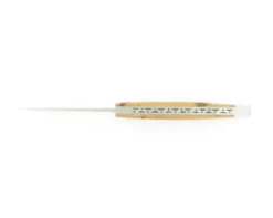 Le Thiers® 9 cm - Mitre Arrière - Genévrier
