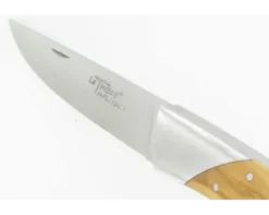 Le Thiers® 11 cm Olivier