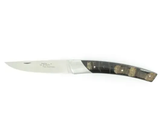 Le Thiers® Compagnon Buffle Brut
