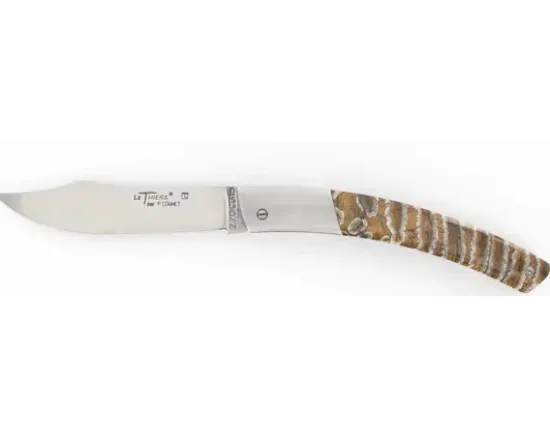 Le Thiers® Molaire de Mammouth