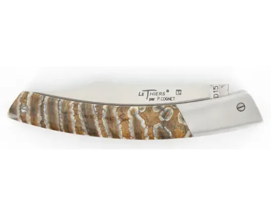 Le Thiers® Molaire de Mammouth