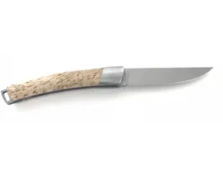 Le Thiers® Nature Bouleau