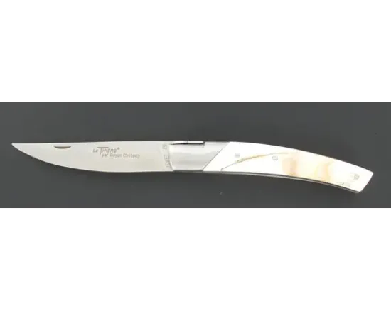 Le Thiers® Pirou - 1 mitre - Manche Phacochère
