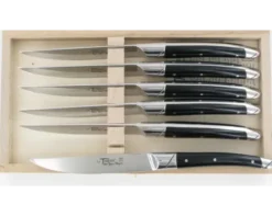 Le Thiers® Table Acrylique noir - coffret de 6 pièces