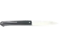 Sauveterre Plein Manche Corne Noire
