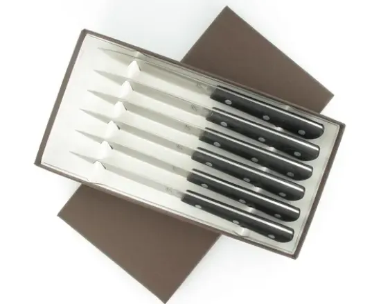 SET DE 6 COUTEAUX DE TABLE 10 cm - manche G10 - Série 200