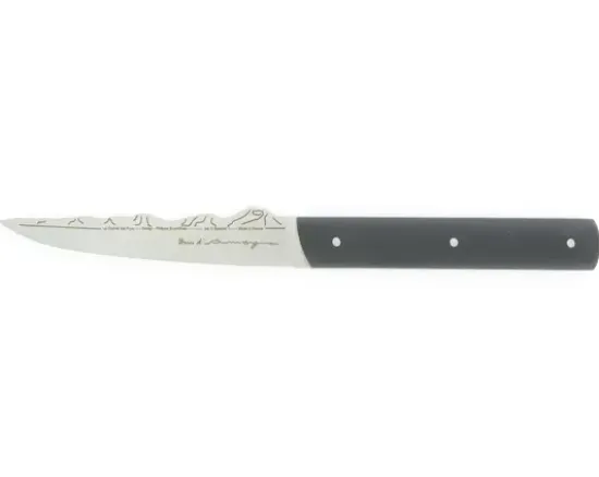 1 Table - Brin d'Auvergne Plastique Noir façon ébène