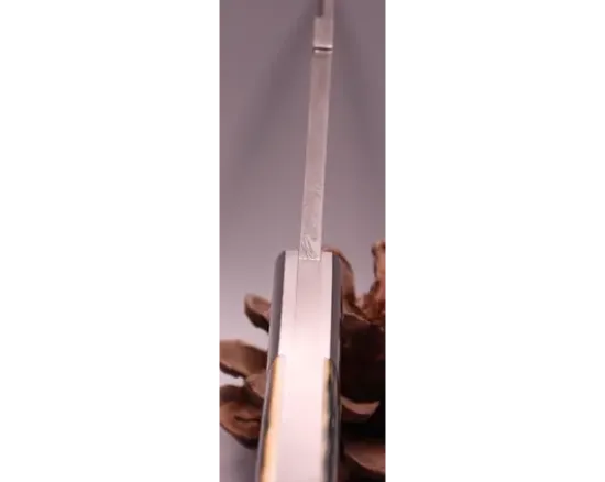 Violon Damas carbone Explosion Ivoire de Mammouth Bleu