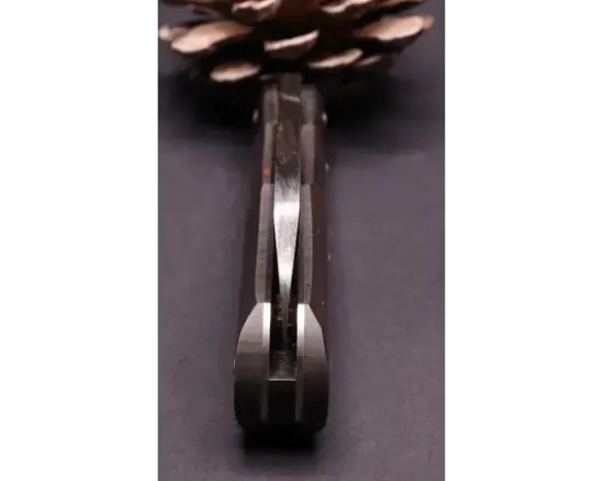 Violon Damas carbone Explosion de Louis Blanchet Fat Carbone