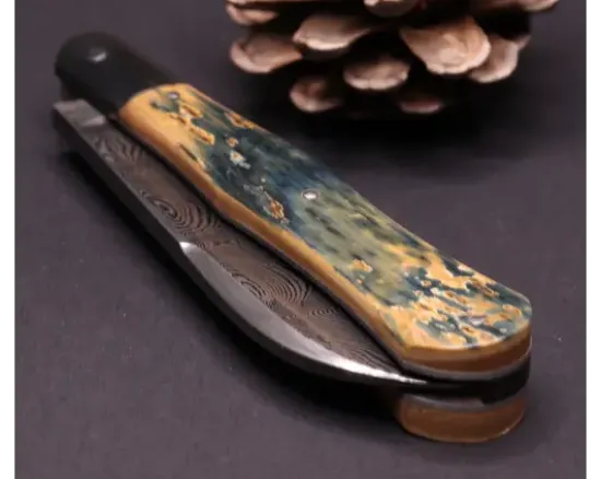 Violon Damas carbone Ivoire de Mammouth Bleu