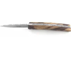 V & L - Bois de Serpent